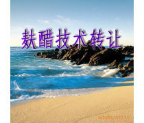 產(chǎn)品庫(kù)技術(shù)轉(zhuǎn)讓 優(yōu)勢(shì)、要點(diǎn)與實(shí)施策略