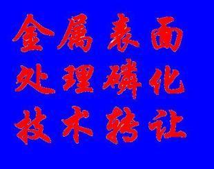 供應(yīng)低價(jià)轉(zhuǎn)讓系列環(huán)保型金屬表面磷化技術(shù)