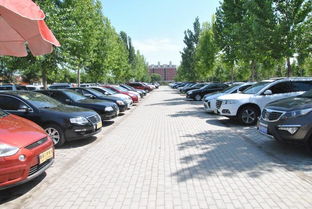 保定買賣二手車價格及市場全解析
